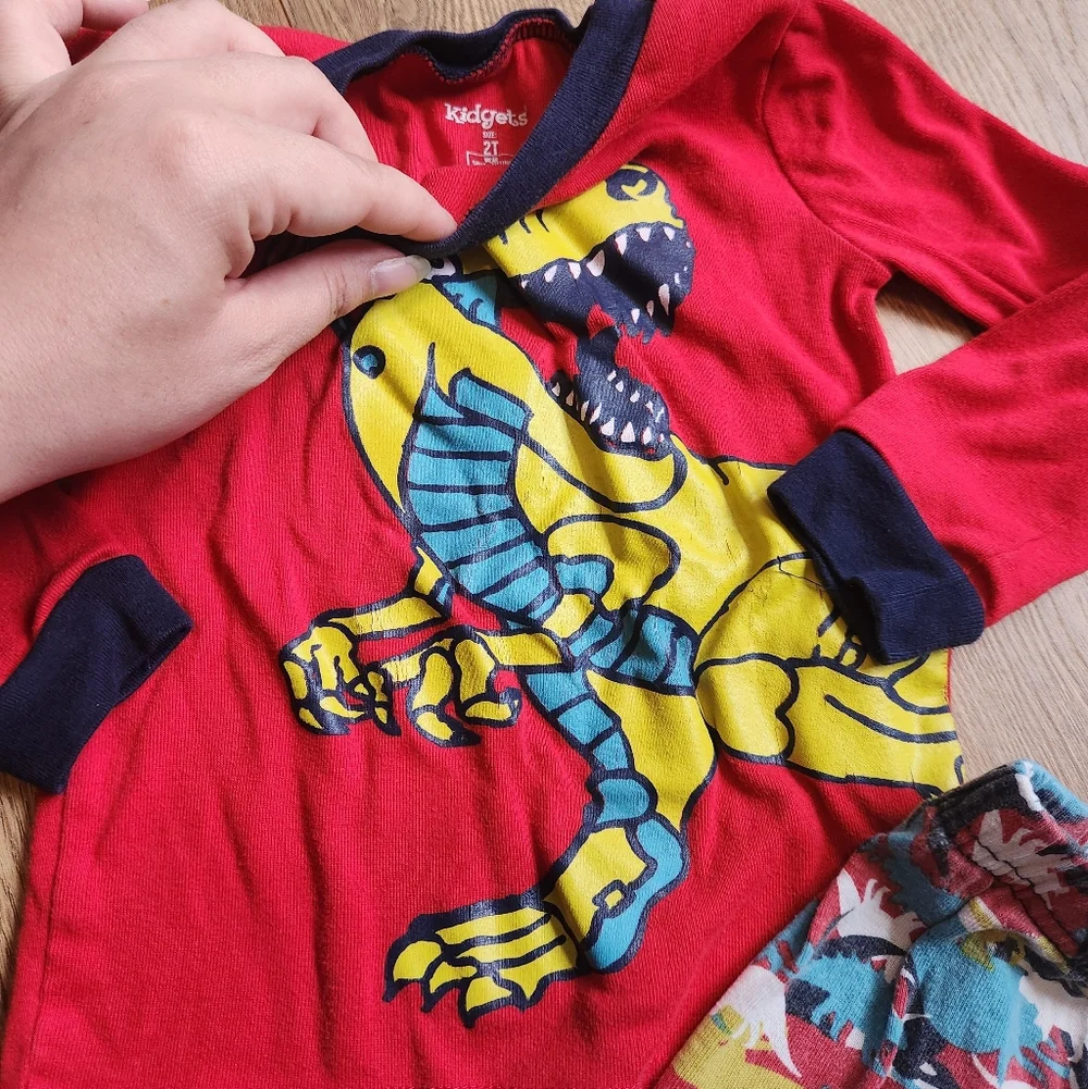 Boys 2t Dino Pjs
